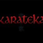 (Recensione Pc) Karateka