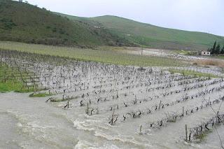 Esondazione Fiume Belice, sopralluogo di Cartabellotta