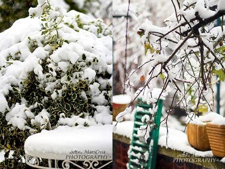 nevicata di marzo snowing march