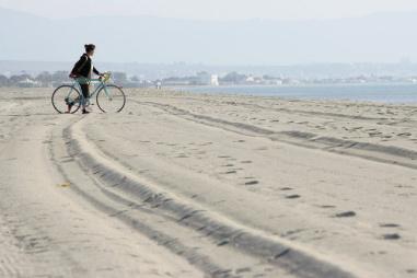 Prodigi della primavera url