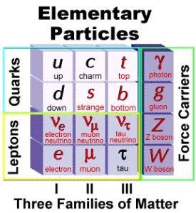Le particelle del Modello Standard
