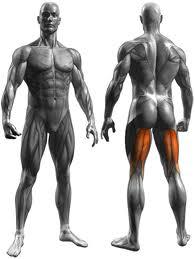 Postura: Test Estensori dell'Anca ed Esame Dei Muscoli Ischiocrurali