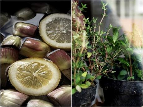 Caprese con carciofi arrostiti. “Caprese”con carciofi arrostiti. La volontà anevrotica.