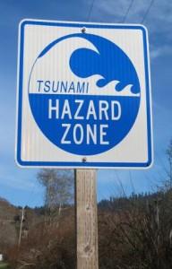 Gli esperti avvisano: ” USA a rischio tsunami”