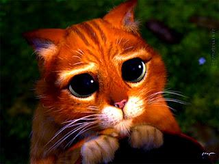 Il posta fortuna #72 Il posta fortuna #72