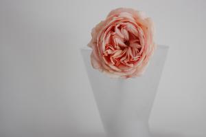 Milano: Marò D’Agostino tra i protagonisti di “PhotoFestival” intimerose