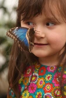 Quando la natura dà spettacolo:farfalle in mostra..