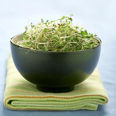 germogli-alfa I GERMOGLI DI ALFA-ALFA