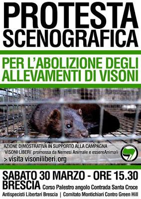 Video - Ecco che succede negli allevamenti di visoni. Aiutaci a fermare questo inutile scempio Video - Ecco che succede negli allevamenti di visoni. Aiutaci a fermare questo inutile scempio