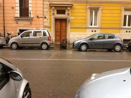 Gli alberi mozzati e lasciati lì a fare da cestino per i rifiuti. Una cosa che se la vedi riconosci subito che la foto si riferisce a Roma...