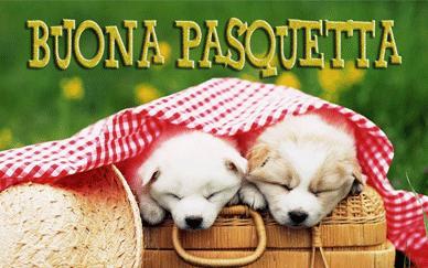 dolce Pasquetta: