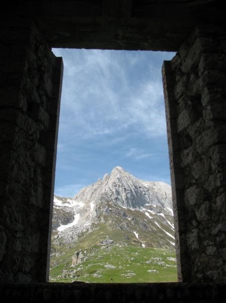 immagini dalla… immagini dalla…