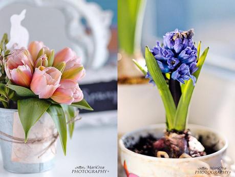 Buona Pasqua Buona Pasqua