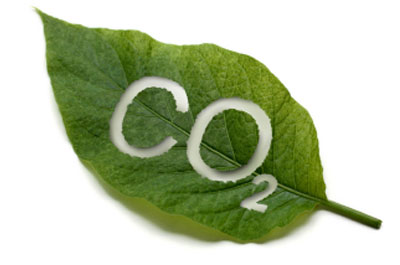 Scienza - Creato microrganismo geneticamente modificato in grado di convertire il CO2 atmosferico in combustibile
