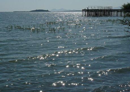 Immagine-028 Immagine-028