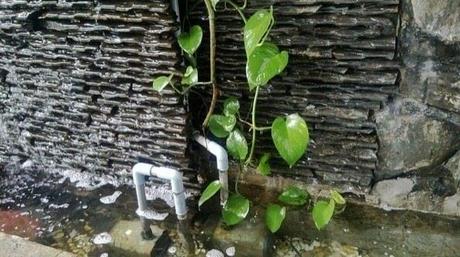 Arrivano i primi scatti realizzati con il Lumia 520 ojpi