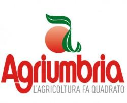 Agri Umbria 2013 a Bastia Umbra : il Programma