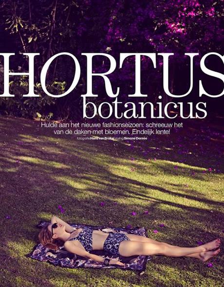 { Editorial | Hortus Botanicus }