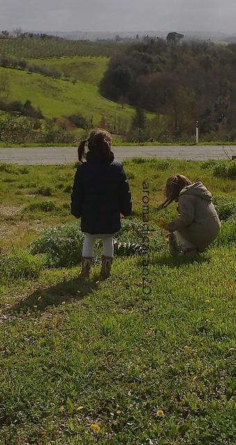 Di Pasqua e di assenze - La mia prima Pasqualina