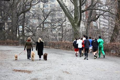 a walk in Central Park