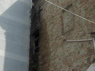 I teli di Palazzo Arzaghi: cosa lasciano intravedere. Ma cosa nascondono?