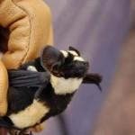 g9zJNQF7JR4a5Ujt g9zJNQF7JR4a5Ujt