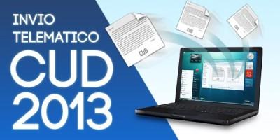 cud-2013-inps