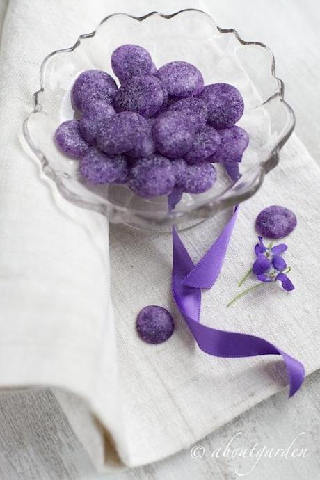 bon bon alla violetta ginevrine alla violetta