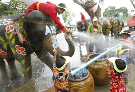 Songkran, si festeggia con gavettoni degli elefanti
