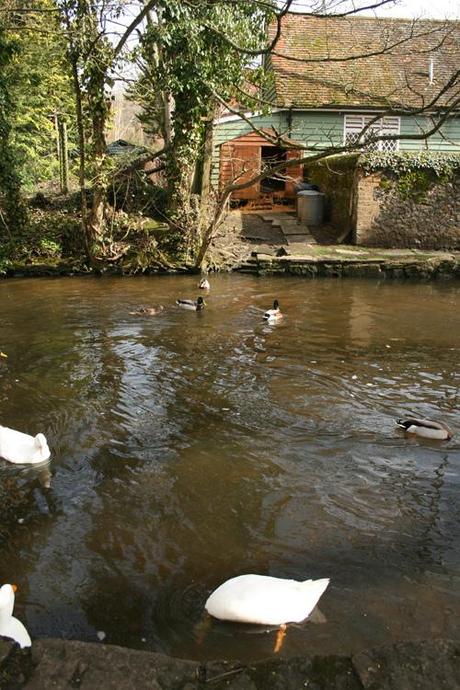 Shere: a lovely village on the picturesque Tillingbourne