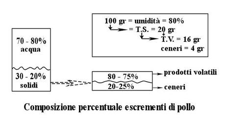 Biomasse, Biogas e Digestori – parte 3