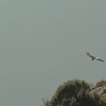 Spagna, riesce a passare con il wingsuit a 250 km/h tra le rocce