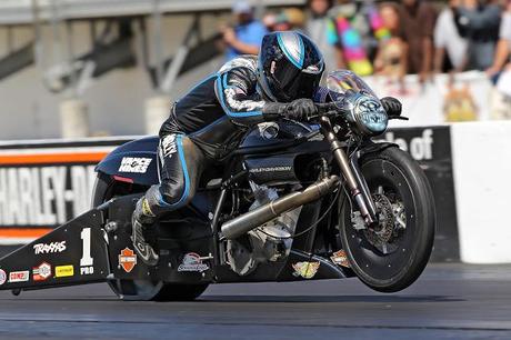 Harley-Davidson V-Rod Drag Racing @ NHRA Pro Stock Gainesville 2013