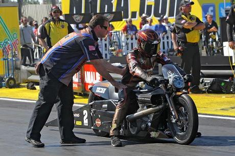 Harley-Davidson V-Rod Drag Racing @ NHRA Pro Stock Gainesville 2013