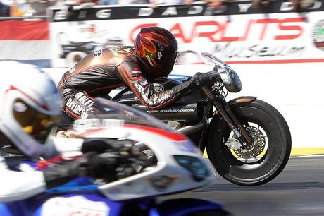 Harley-Davidson V-Rod Drag Racing @ NHRA Pro Stock Gainesville 2013
