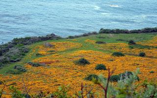 Highway One: american Amalfi