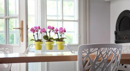 DESIGN E ARTIGIANATO CONDIVIDONO UN NOME: NONOGIORNO revol-ver - Nonogiorno