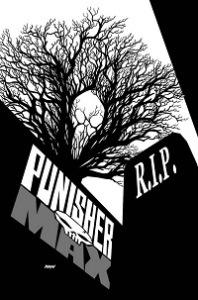 PunisherMAX_22_Cover