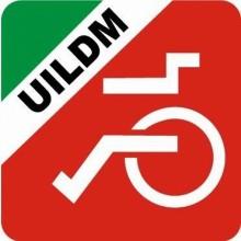 Logo-UILDM-01