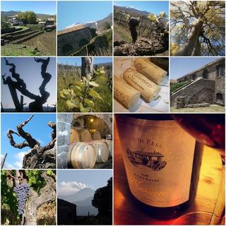Il Musmeci 2008 di Tenuta di Fessina tra “i vini più intriganti del vulcano”. L’articolo di Luigi Salvo sull’edizione 2013 della manifestazione “Le contrade dell’Etna”