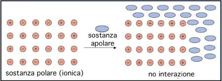 Scienza leggera: come funziona il sapone?