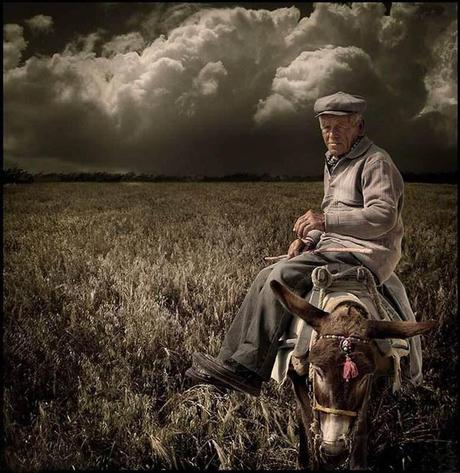 Ritorna fuori la frase infelice di Nunzia Di Girolamo, pe... Contadino-con-lasinello-a19411392