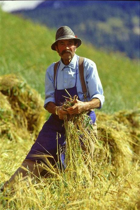 Ritorna fuori la frase infelice di Nunzia Di Girolamo, pe... Ritorna fuori la frase infelice di Nunzia Di Girolamo, pe...