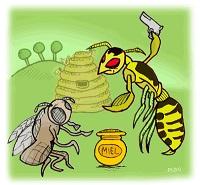 I Calabroni e le Api e La ghianda e la zucca // Audio Fiabe calabroni-api