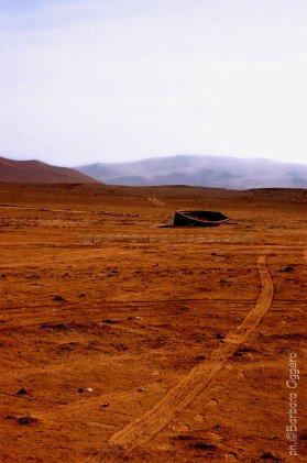 Il deserto e una civiltà scomparsa: la Riserva Nazionale di Paracas in Perù