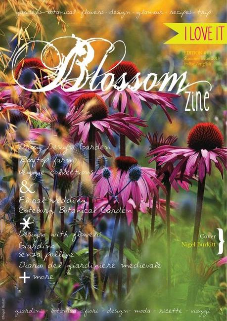 Blossom zine: first issue online!