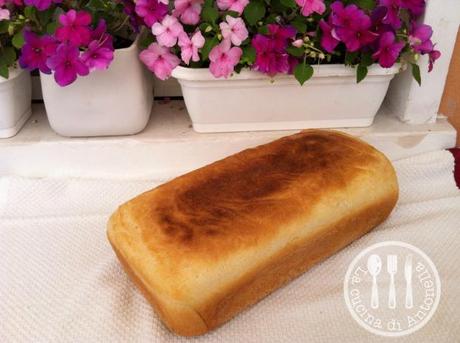 pan carrè per fare toast e sandwich