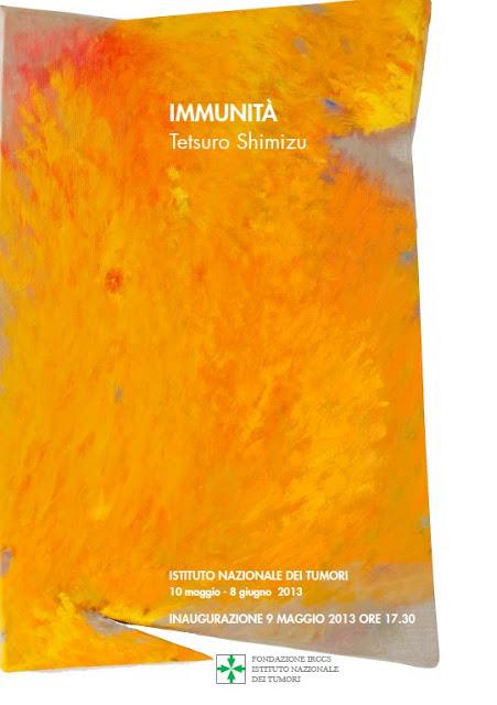 Tetsuro Shimizu | IMMUNITA’ | Istituto Nazionale dei Tumori di Milano | 9 maggio – 9 giugno 2013