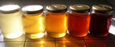 HCM - Honey Cleansing Method: come lavarsi il viso con il miele - sfida nr.2