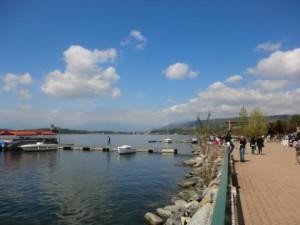 Il lago di Viverone Una stupenda scoperta 9314004_l